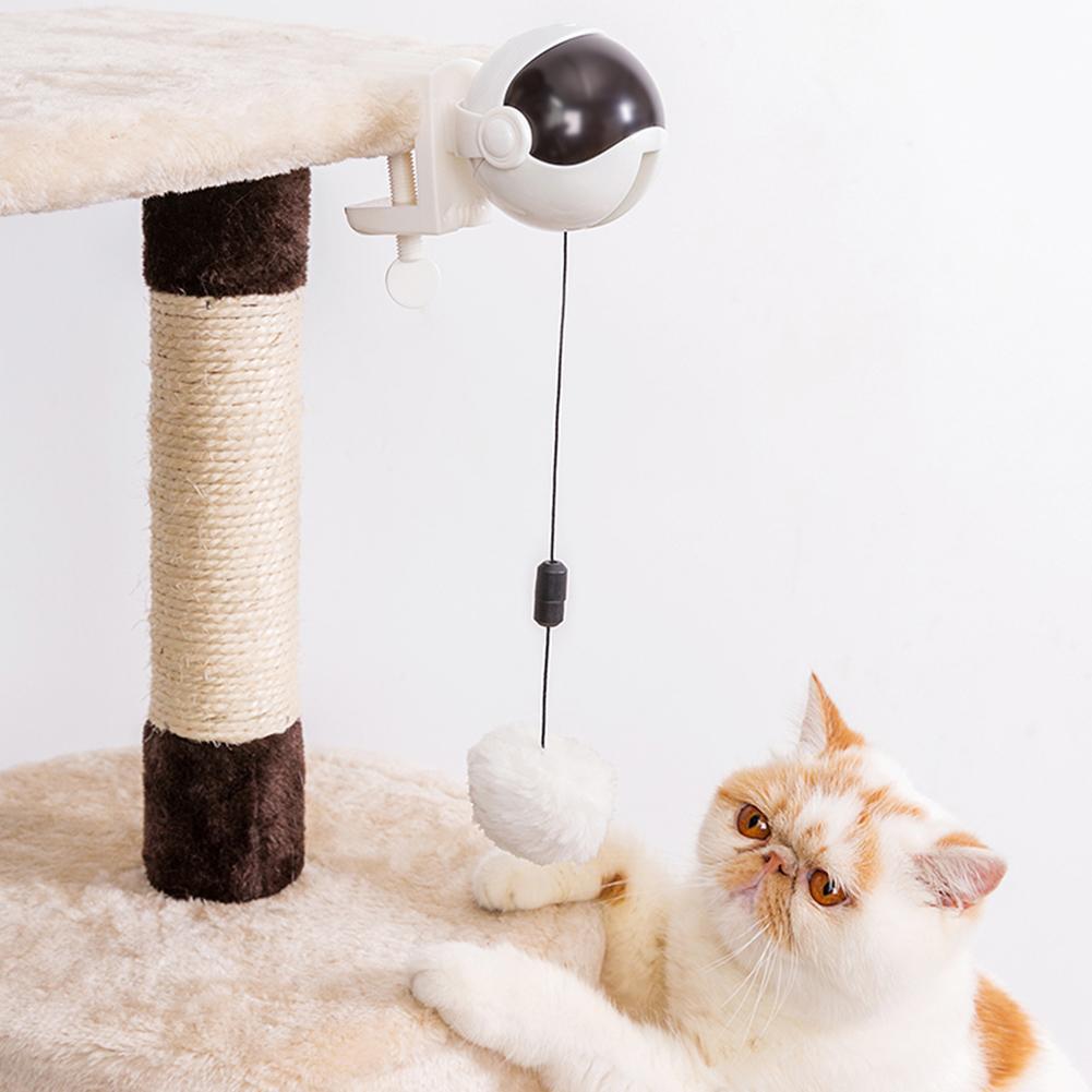 Bolinha Eletrônica Para Gatos