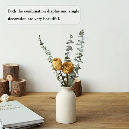 Conjunto de Vasos Cerâmicos Elegantes para Decoração - 3 Peças