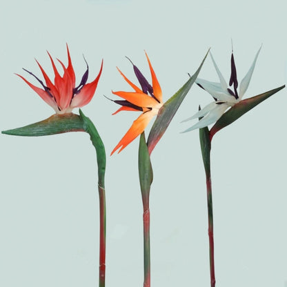 Artificial Bird of Paradise Flores, Strelitzia Borracha, Long Stem, adequado para DIY, Home Party, Decoração Tema, 24,5 polegadas, 3PCs