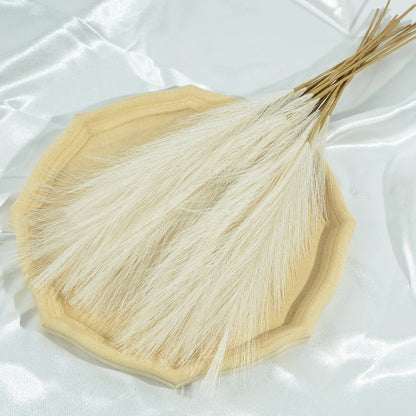 Folhagem Seca Luxuosa para Decoração de Ambientes