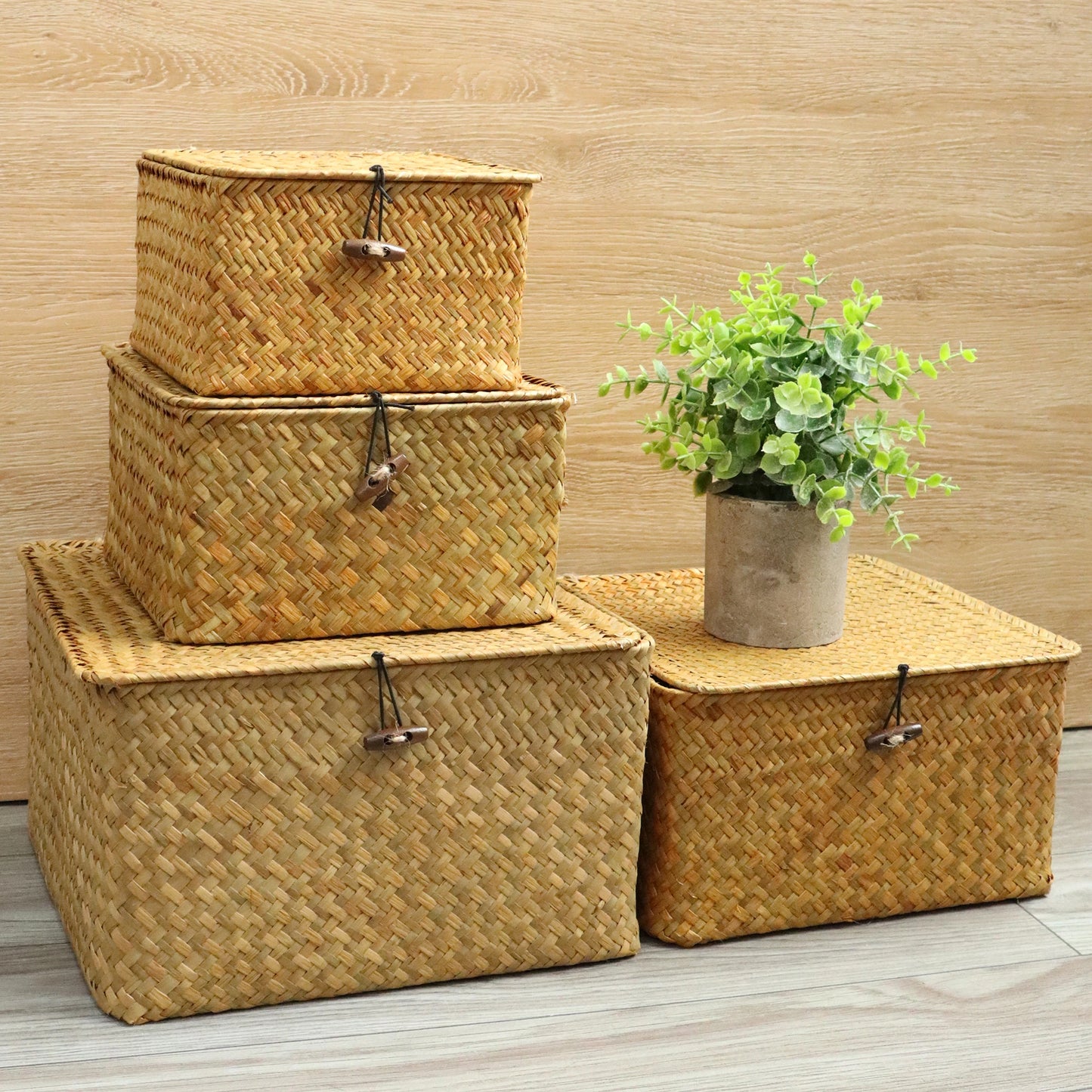 Cestas de Organização de Algas Marinhas com Tampa - Elegante Conjunto de 4