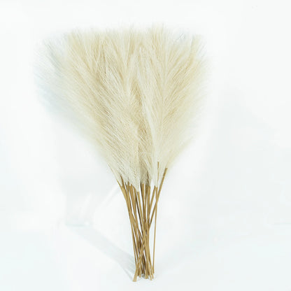 Folhagem Seca Luxuosa para Decoração de Ambientes