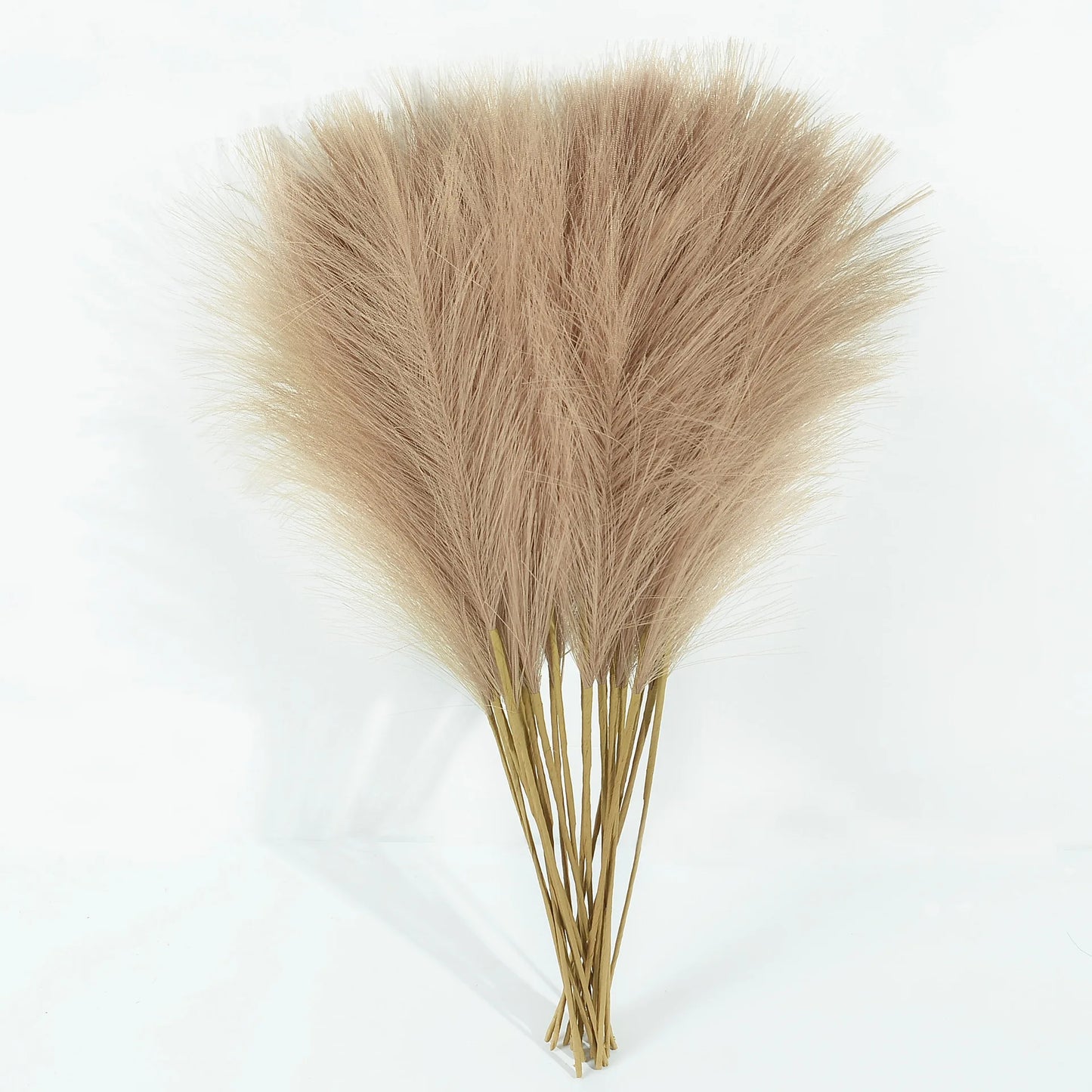 Folhagem Seca Luxuosa para Decoração de Ambientes