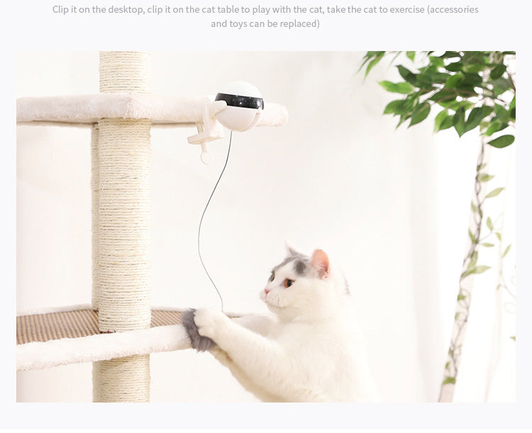 Bolinha Eletrônica Para Gatos