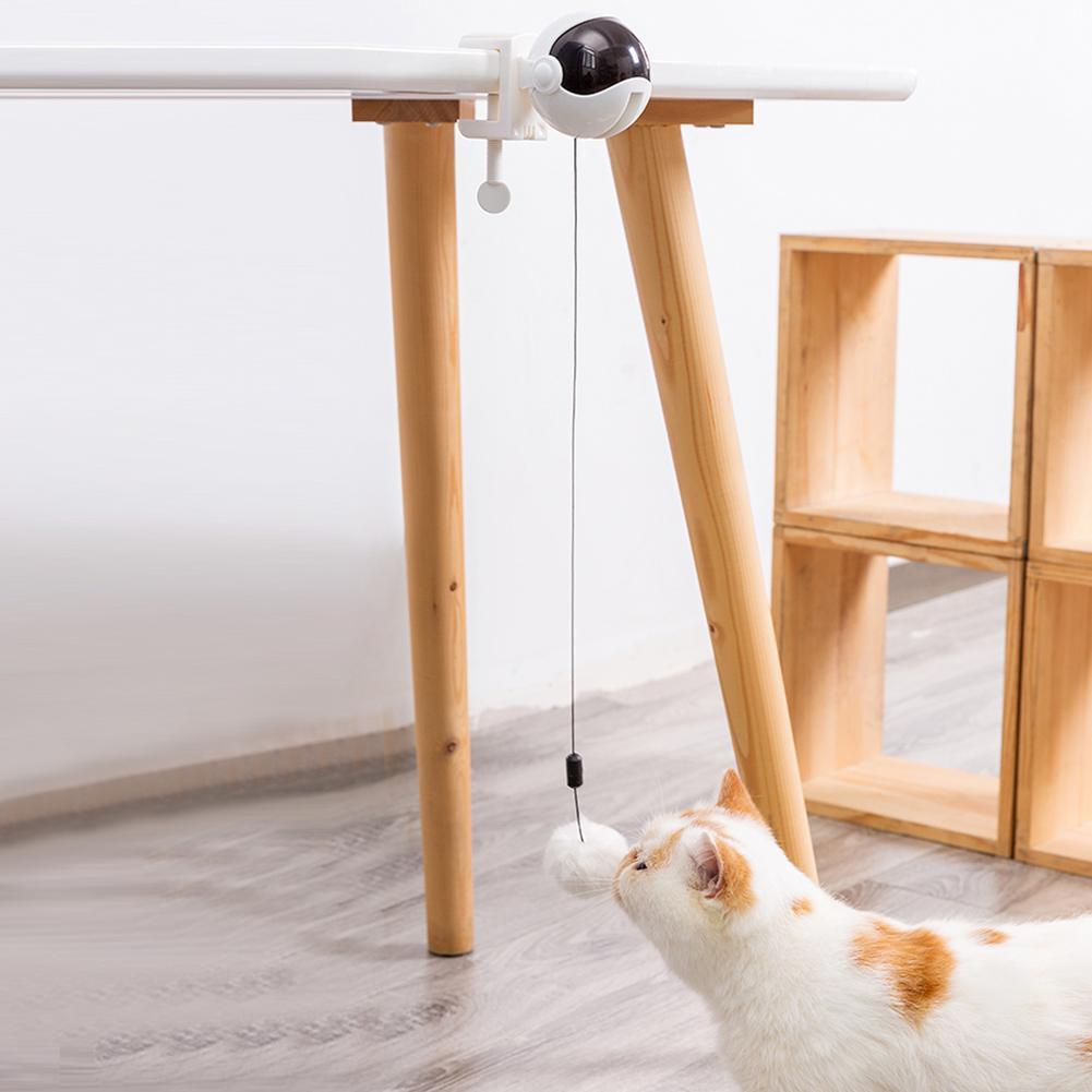 Bolinha Eletrônica Para Gatos