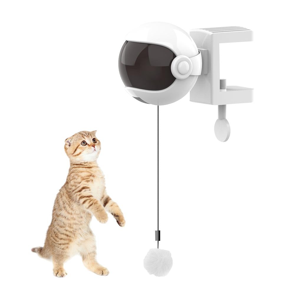 Bolinha Eletrônica Para Gatos
